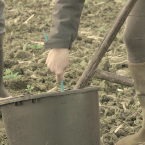 Analyse de sol et reliquats